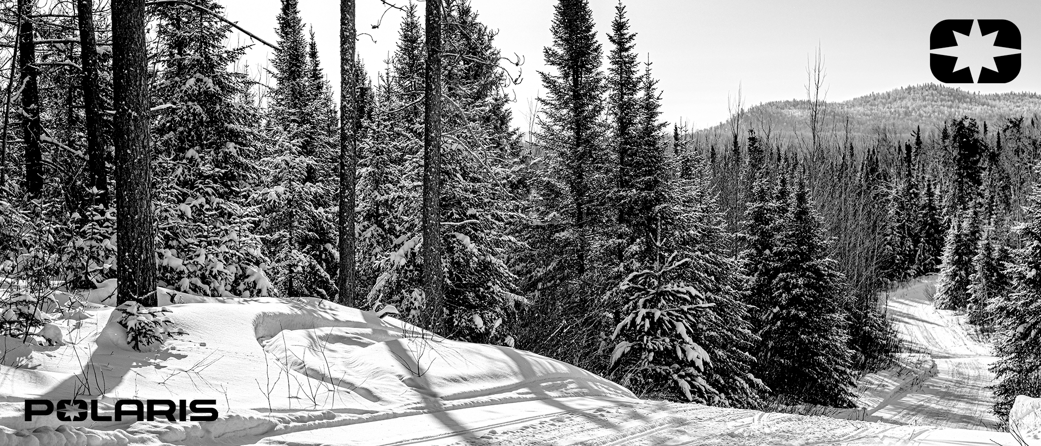 Polaris Online Publication Portal